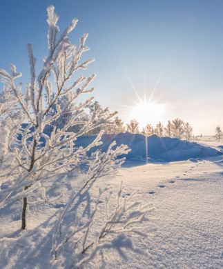 Norsk snedækket vinterlandskab