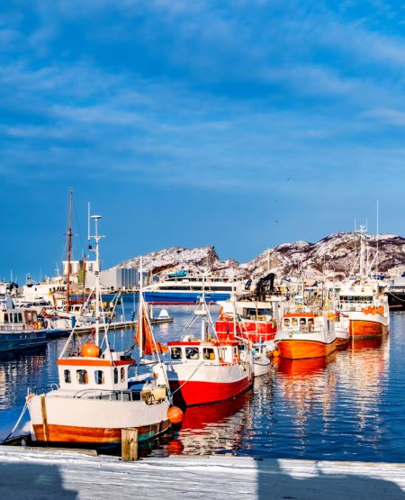 Bodø Havn med fiskerbåde og flot blå himmel