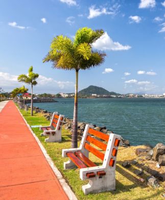 Causeway-vej i Panama City med orange bænk, træ og blå himmel