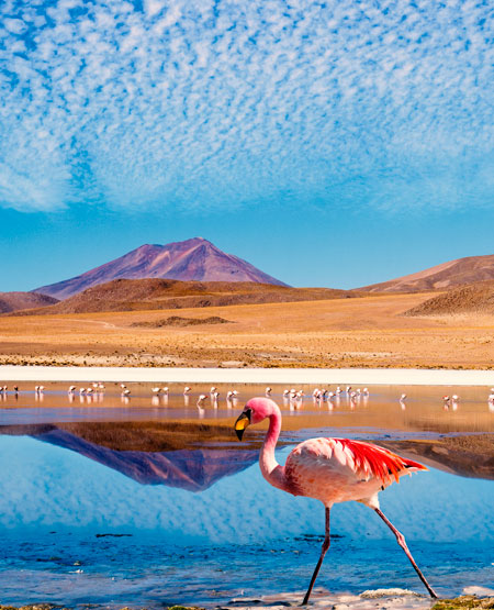 Ruta de las Joyas altoandinas, Bolivia