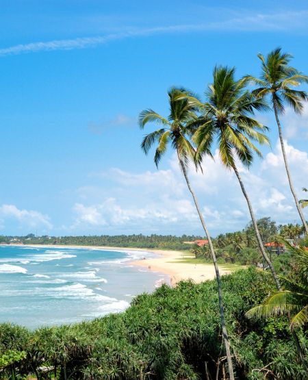 Bentota Beach med palmer, bølger og blå himmel