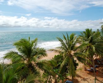 Palmetræer, sandstrand og hav på Bentota Beach i Sri Lanka