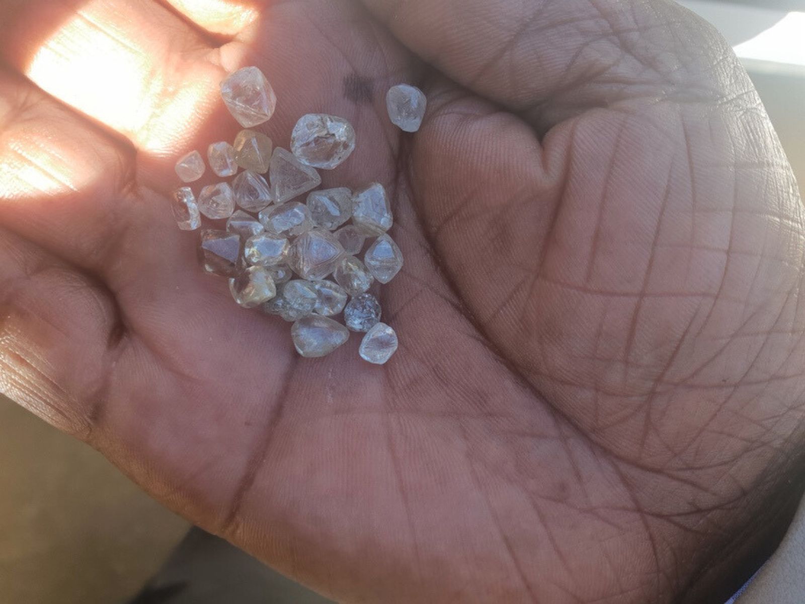 Rå og uslebne diamanter vist frem i hånd, Sydafrika