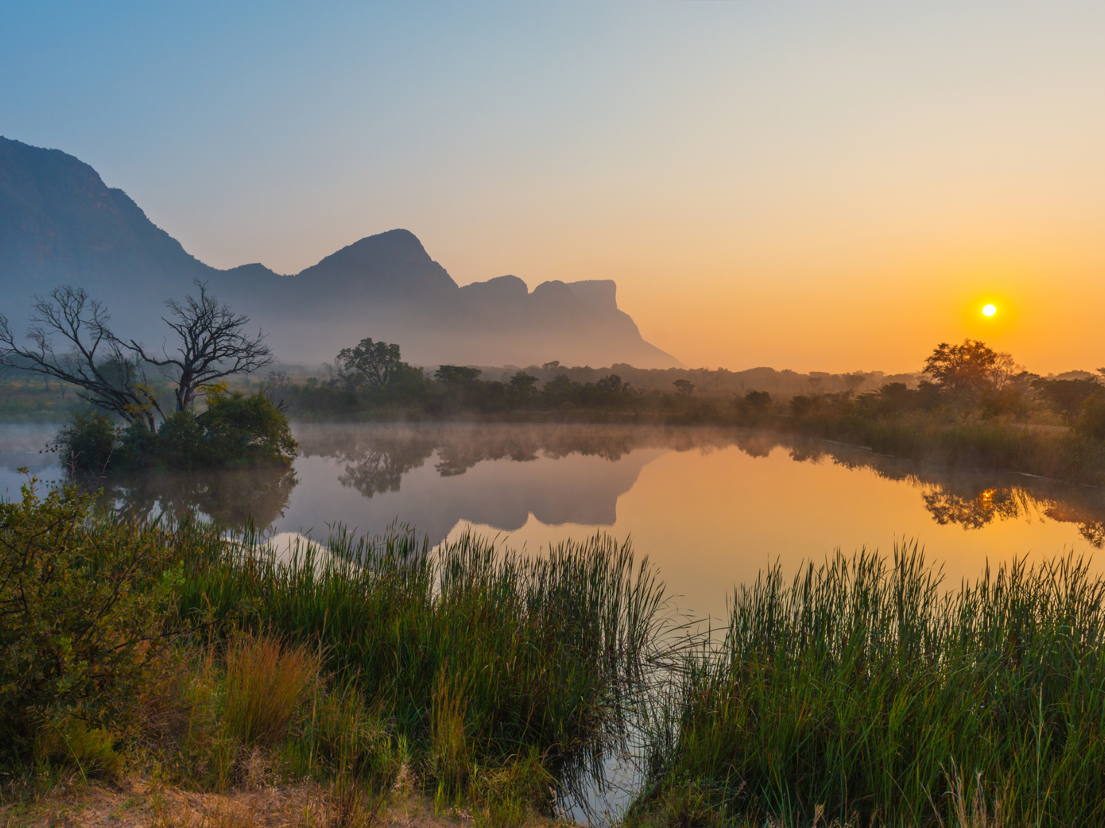 Solopgang over savannen nær Kruger National Park i Sydafrika
