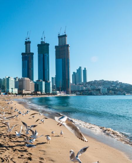 Haeundae-stranden i Busan med udsigt til strand, hav, måger og højhuse