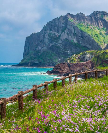 Jeju Island med udsigt til klippe, blomstereng og hav