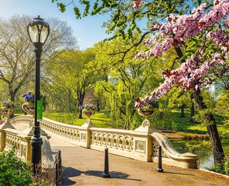Park i New York med blomster i træerne og hyggelige lamper