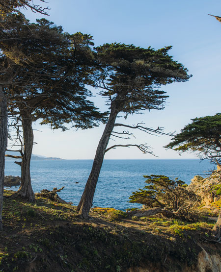 Udsigt fra 17-mile drive over havet i Monterey, USA