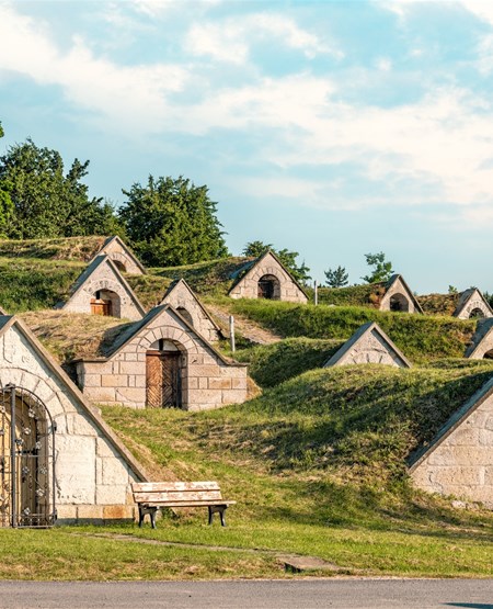 Vink_lder_tokaj_iStock-1362597427_450-555