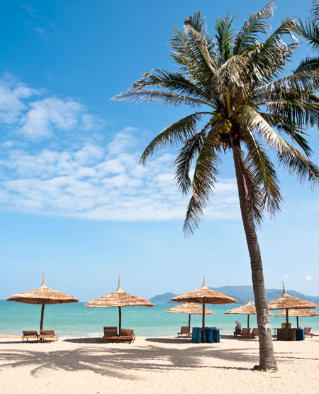 Sandstrand, liggestole og palmetræ ved Nha Trang, Vietnam Sandstrand, liggestole og palmetræ ved Nha Trang, Vietnam