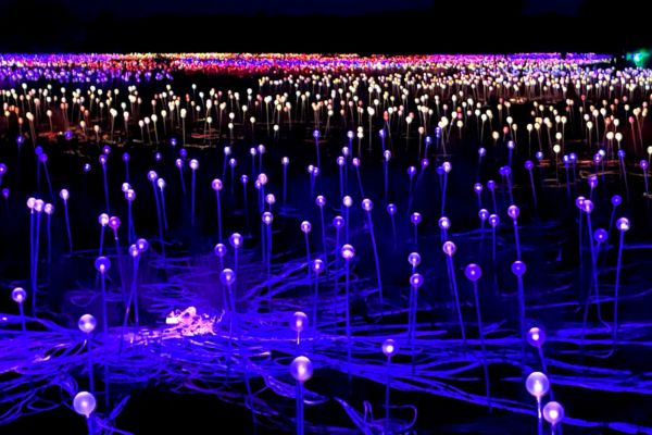 Kunstinstallationen Field of Light i Australiens røde ørken