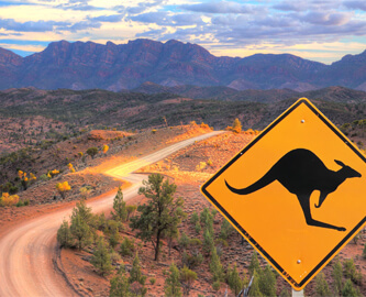 Udsigt til skilt med kænguru på ved vej i Australien