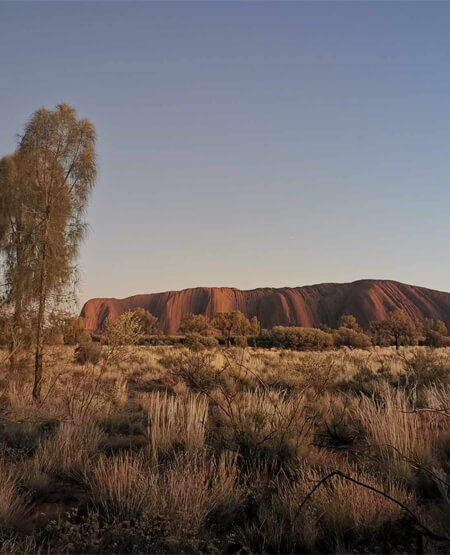 Uluru (Ayers Rock) lige før solnedgang