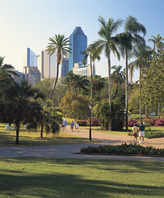 Hyggeligt udsigt til Brisbane Botanic Garden