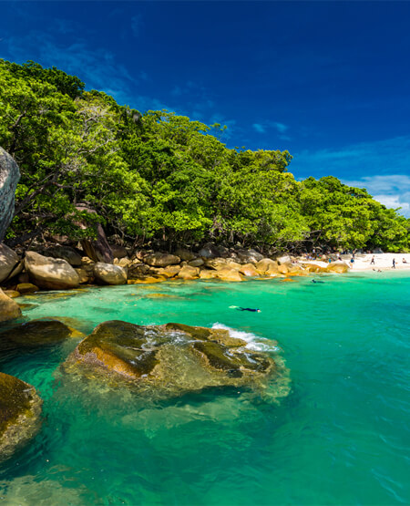 Cairns kystlinje med frodig natur og turkis grønt vand