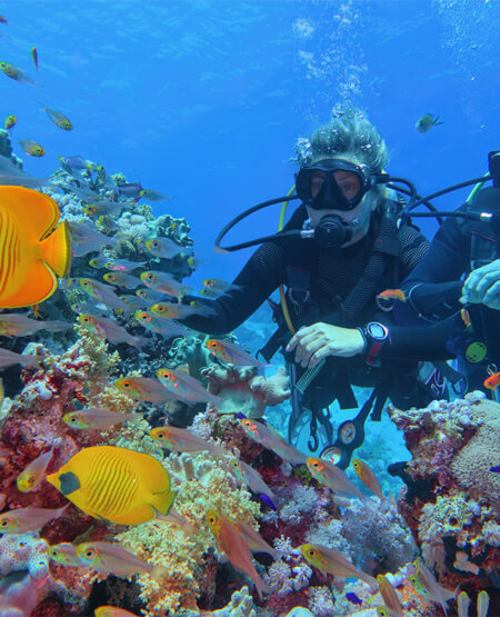 Diving_Great_Barrier_Reef_iStock-1360323358