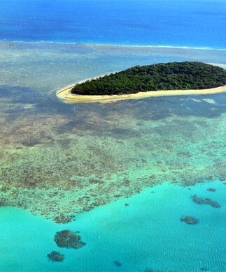 _i_Great_Barrier_Reef-533909304_323x390