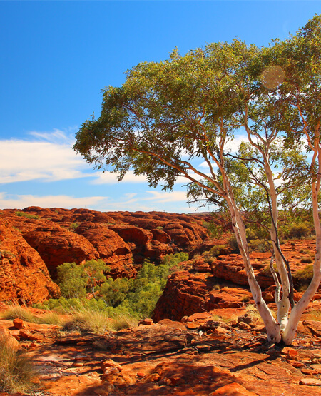 Outback_iStock_000083458785_Double