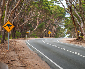 Udsigt til vej med skilte til Kangaroo Island