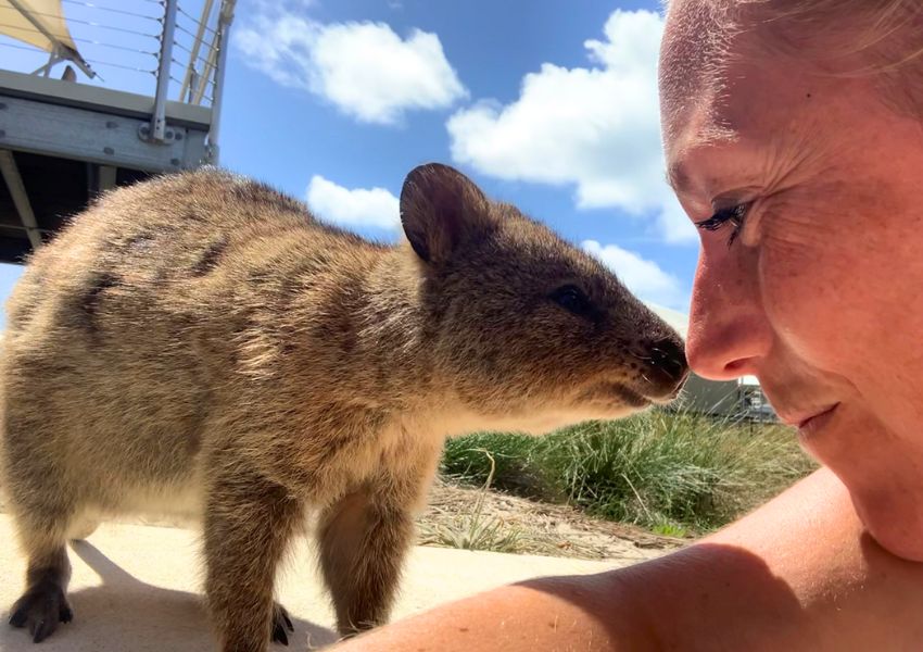 Lene_Quokka