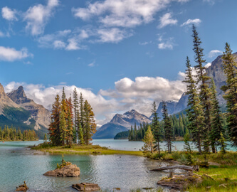 Tange med træer i Maligne Lake, Alberta, Canada