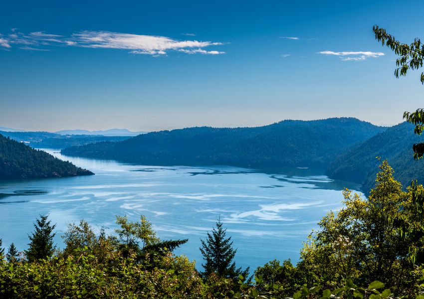 Vancouver Island, træer i forgrunden og majestætiske bjerge