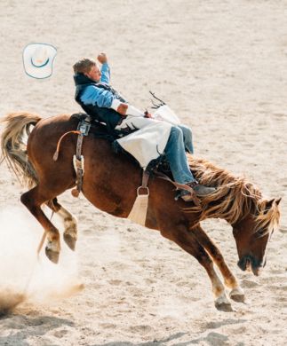 Rodeorytter ved Calgary Stampede, Canada