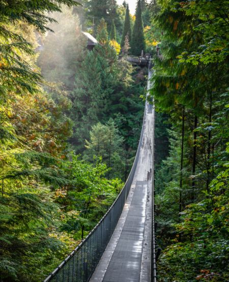 Capilano Suspension Bridge lidt nord for Vancouver