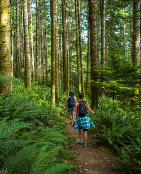 To på Vandretur i Pacific Rim National Preserve på Vancouver Island