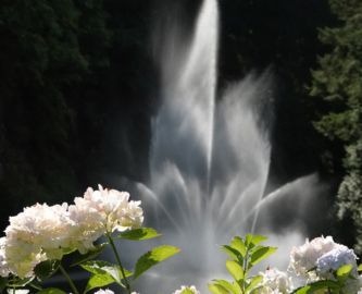 Springvand i Butchart Gardens i Victoria, Vancouver Island