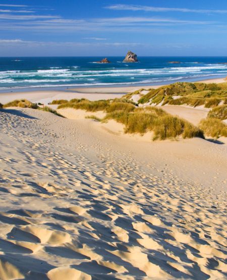 Udsigt over klitter og strand ved Sandfly Beach, New Zealand