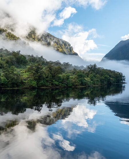 Doutful_Sound_Fiordland_National_Park_iStock-1320808239