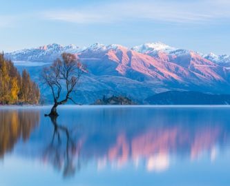 Det ensomme træ i Lake Wanaka, Sydøen, New Zealand Det ensomme træ i Lake Wanaka, Sydøen, New Zealand