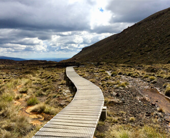 Snoet træbro i vulkanlandskabet i Tongariro, New Zealand