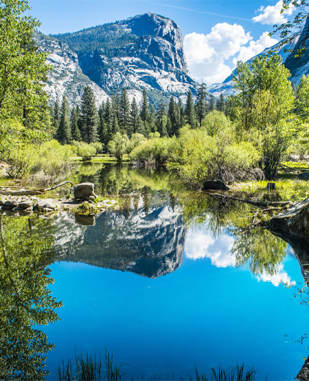 Smuk udsigt over Yosemite National Park