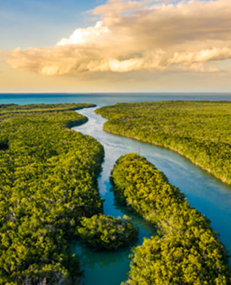 Luftfoto over Everglades i aftenbelysning i Florida