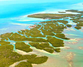 Perlerække af øer syd for Florida