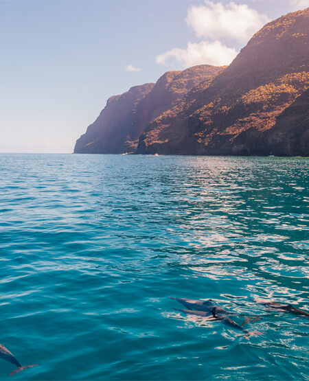 Delfiner i havet ved Kauai, Hawai