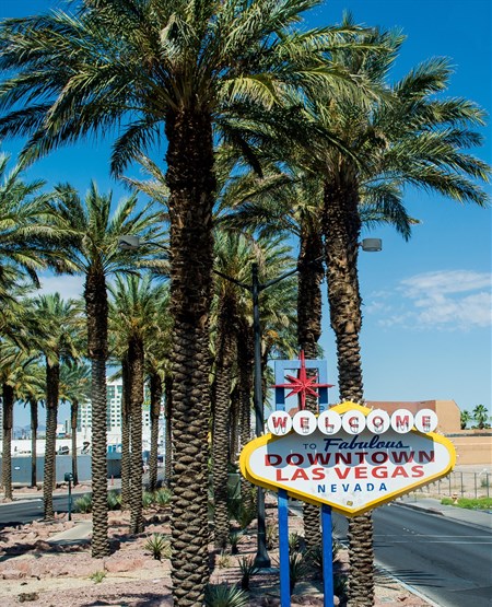 Las Vegas skilt med palmer bagved