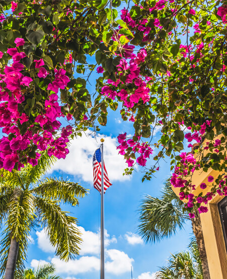 Farverig udsigt i Miami til blomster og det amerikanske flag