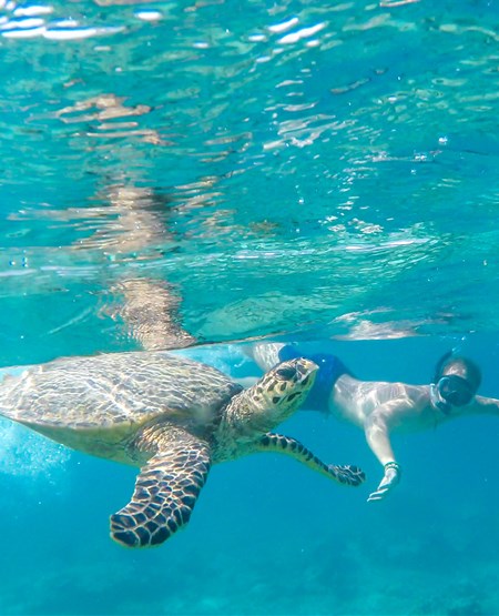 Snorkling iblandt farverige fisk ved Amed på Bali