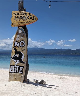 Surfboard på strand på Gili-øerne, Bali
