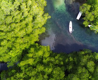 Jungut Batu mangroven på Bali