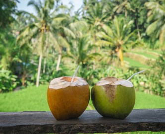Kokosnødder på stranden ved Sanur på Bali