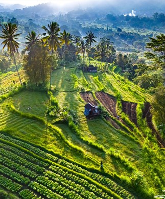 Udsigt over frodigt landskab i Sidemen på Bali