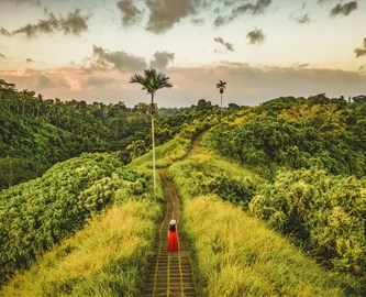 Campuhan Ridge Way ved Ubud på Bali