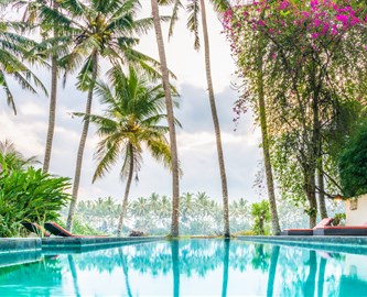 Skøn udsigt til pool og palmer i Ubud på Bali