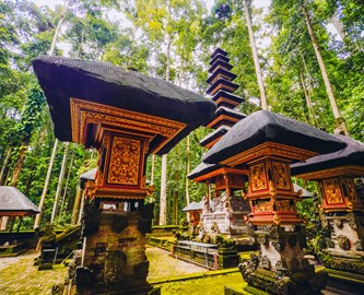 Sacred Monkey Forest Sanctuary ved Ubud på Bali