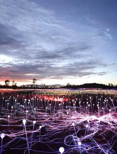 En aften ved “Field of Light”