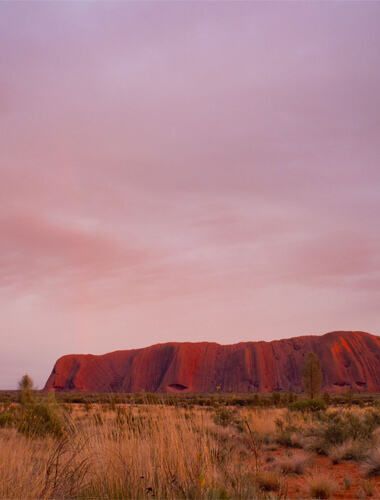 Heldagstur til Uluru/Auers Rock og Kata Tjuta